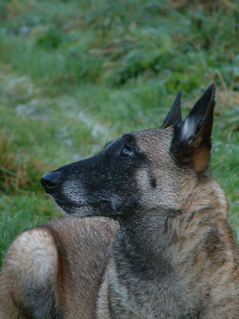 Sprite du Domaine de Vauroux