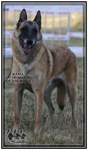 Rama du Domaine de Vauroux