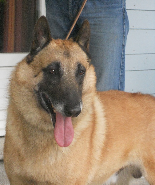 Arthus du Domaine de Vauroux