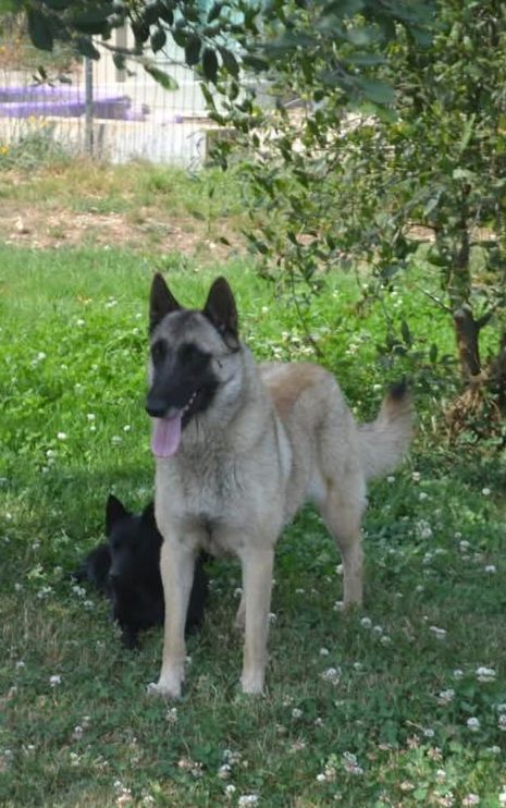 Sparte du Domaine de Vauroux