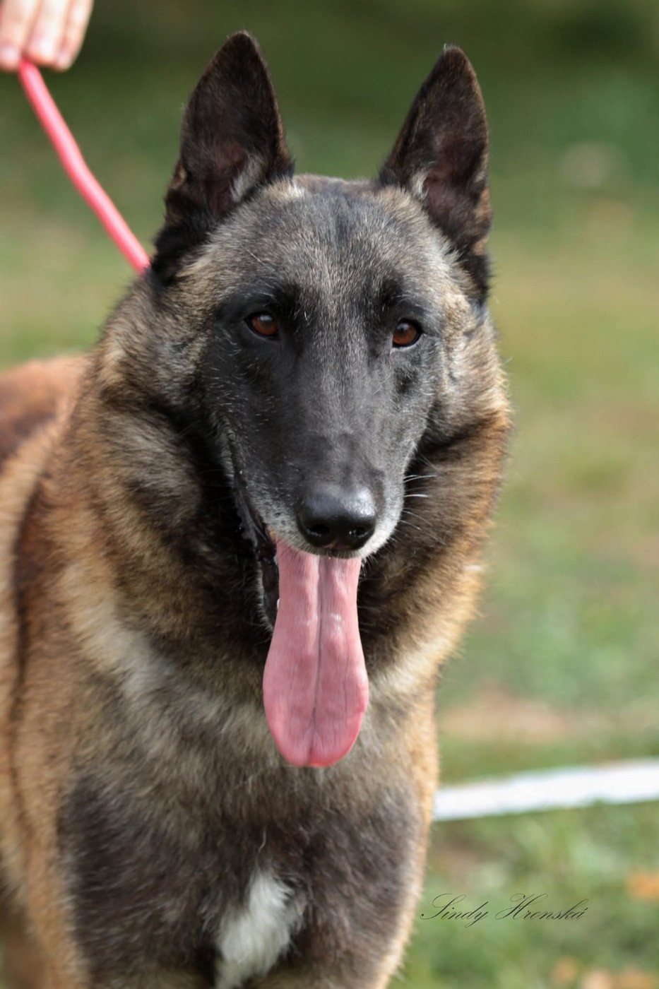 Nous seront présent au CGA 2026 (SALON DE L'AGRICULTURE)