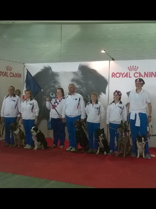 du Domaine de Vauroux - Championnat du Monde d obéissance Turin 2015