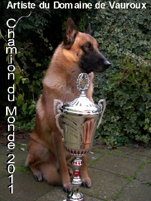 du Domaine de Vauroux - CHAMPIONS du MONDE 2011