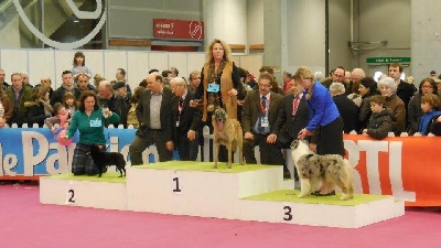 du Domaine de Vauroux - 1 er prix AU SALON DE L AGRICULTURE 2013