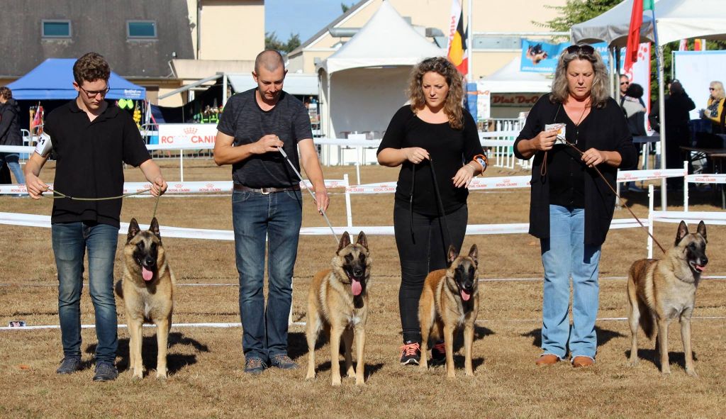 du Domaine de Vauroux - 2 Nouveaux Champions de France en 2018 !