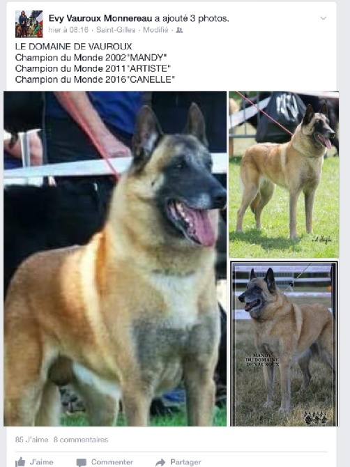 du Domaine de Vauroux - Le Domaine de Vauroux , CHAMPION DU MONDE 2016